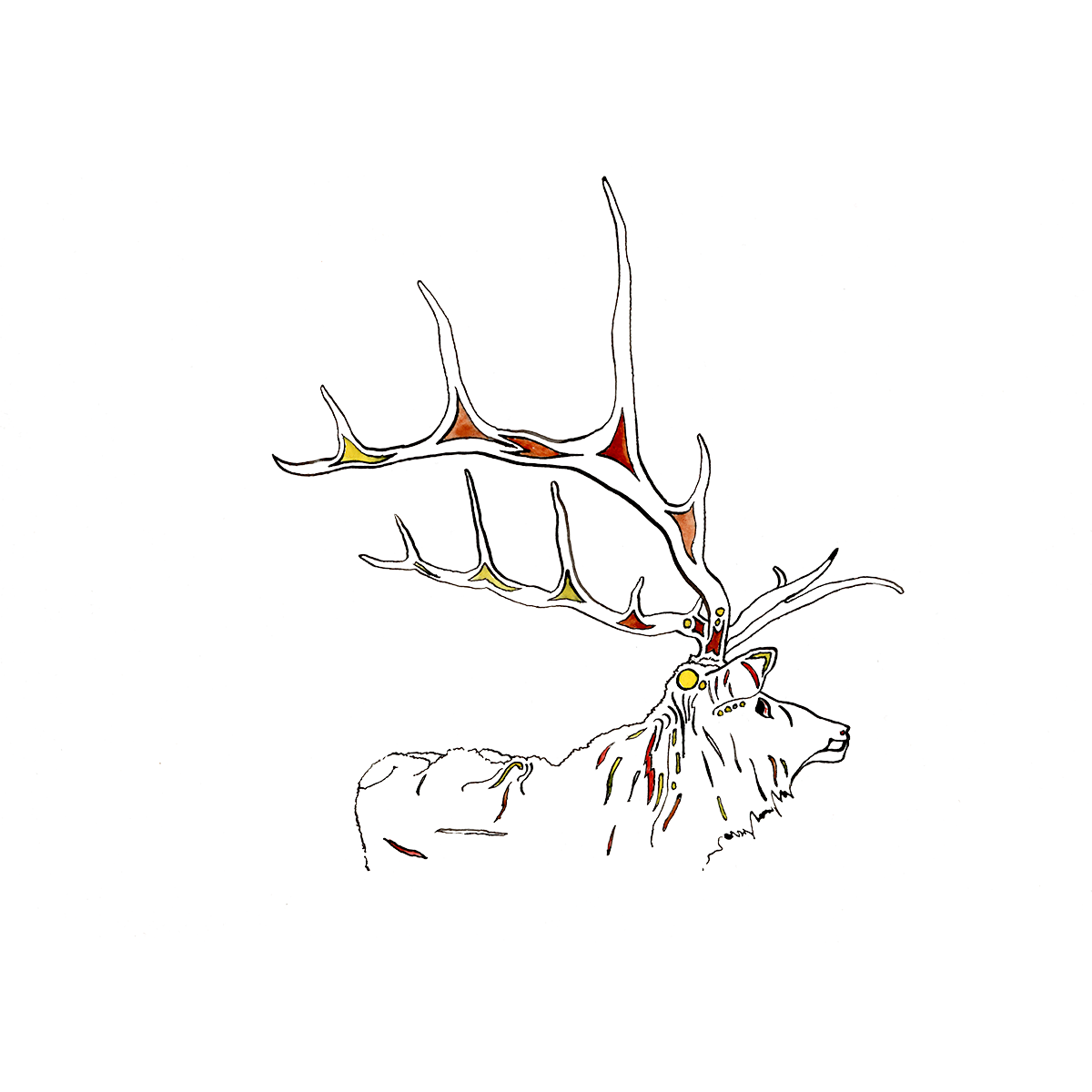 Watercolour Elk by Ned Tobin